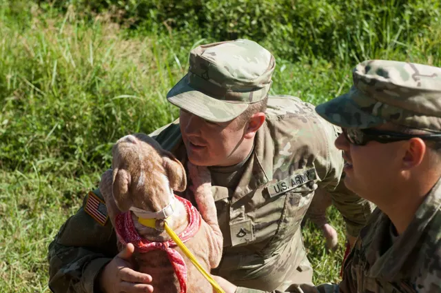 An Army National Guard soldier holding a rescued puppy in Beaumont, Texas, after Hurricane Harvey
