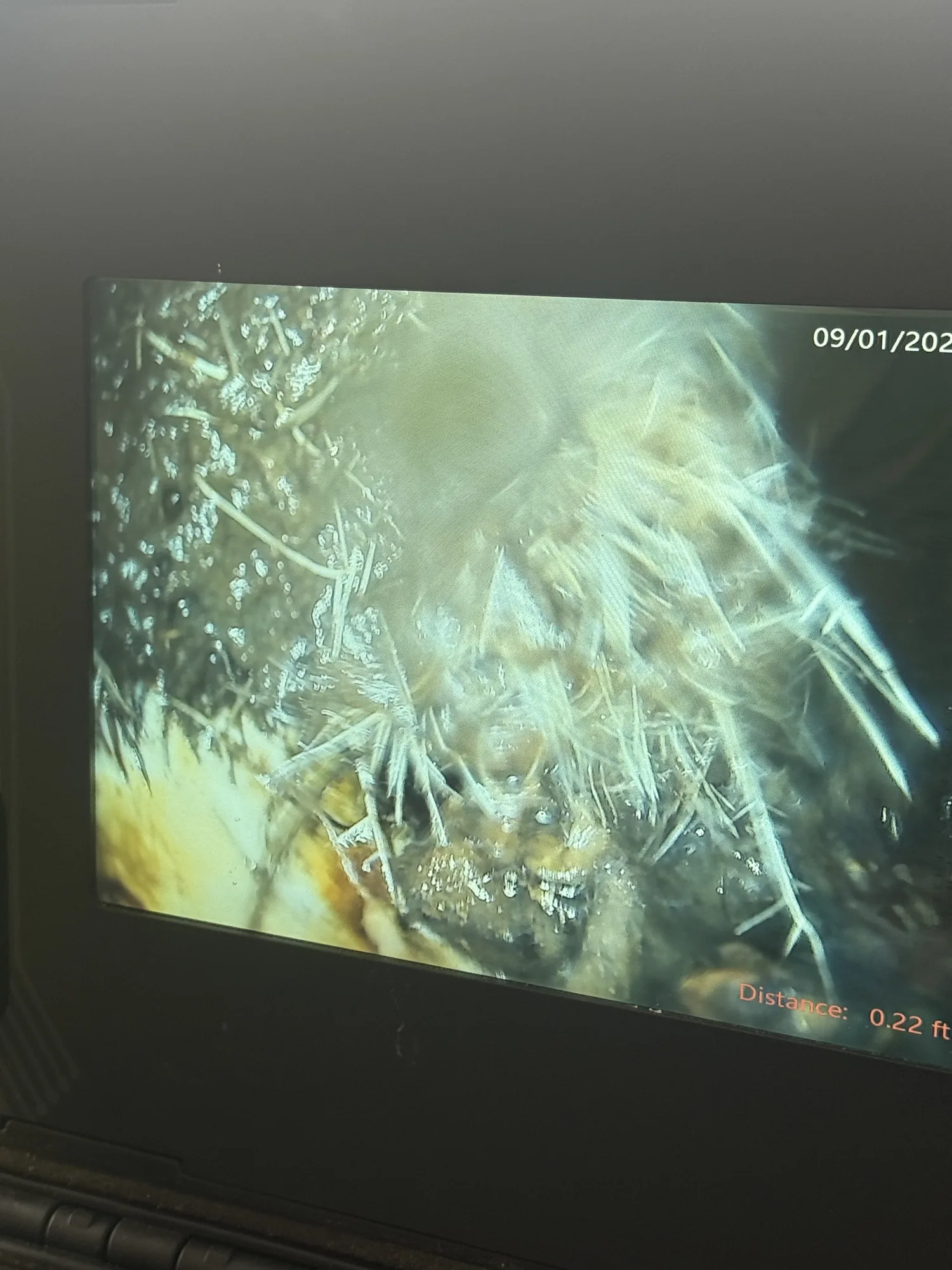 Sewer camera inspection showing root intrusion in a Port Neches, TX line